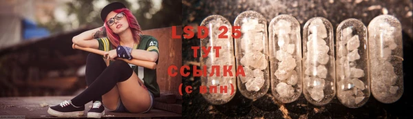 стафф Богородицк