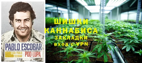 мдпв Богородск