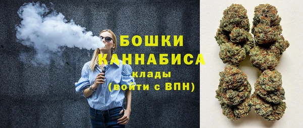 стафф Богородицк