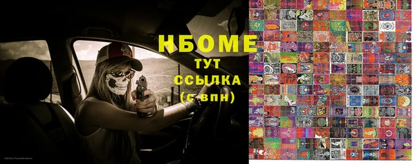 мдпв Богородск
