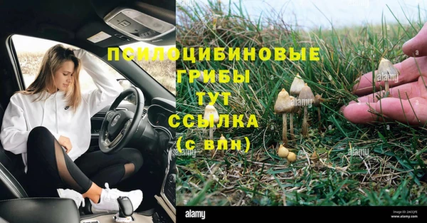 МДМА Богданович