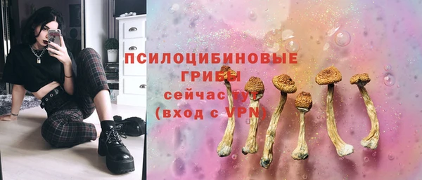 мдпв Богородск