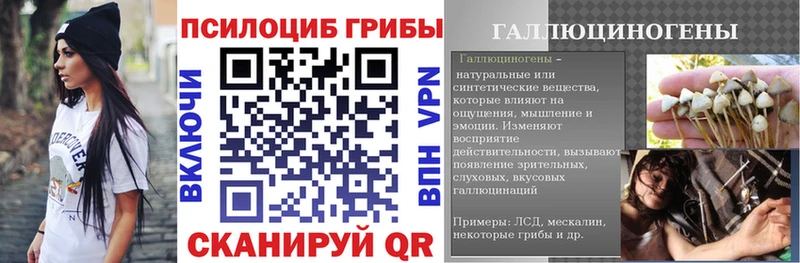 наркота Нестеров Псилоцибиновые грибы Magic Shrooms